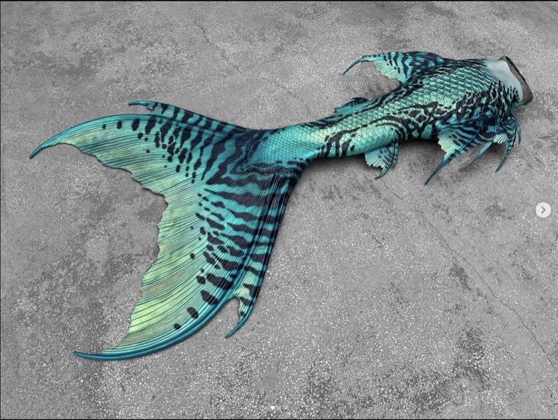 Featured Silicone Tail